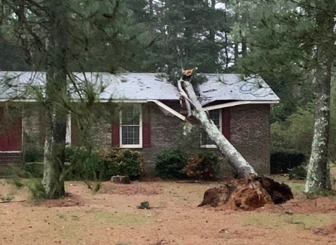 image of a residential roof in Bremen Georgia with roof storm damages