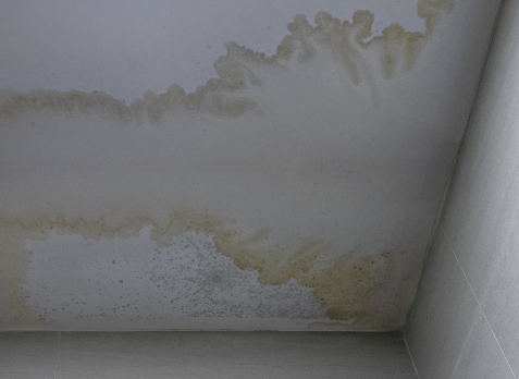 Photo of a ceiling in a house with a large water leak stain