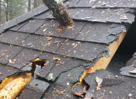 Image of a roof with storm damage due to fallen branches