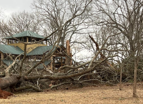 Image of a residential roof in Kennesaw Georgia with storm damages