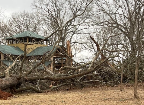 Image of a residential roof in Newnan Georgia with storm damages