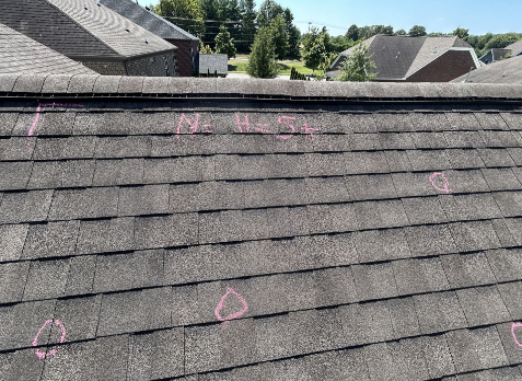 Image of Whitaker Roofing roof inspection