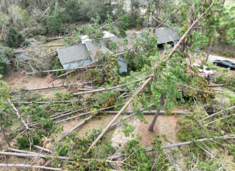 Image of a residential roof in Douglas Georgia with storm damage due to a fallen tree