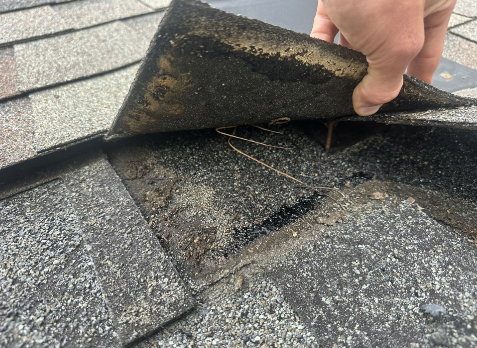 Roofer showing damaged shingle in Fayetteville