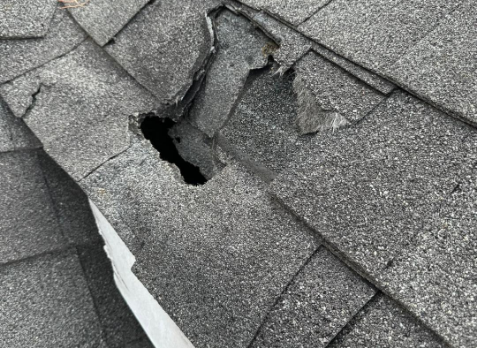 Up close image of damaged shingle and roof in Pell City