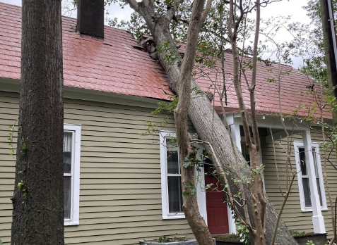 image of a residential roof in Chelsea Alabama with roof storm damage