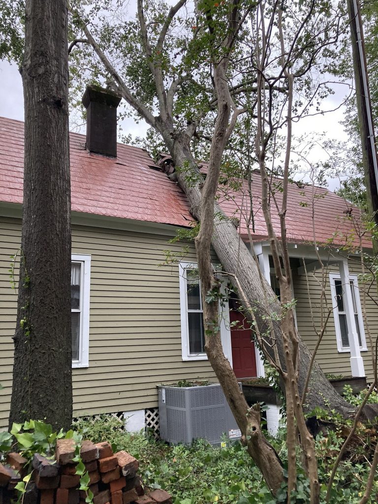 Damaged roof in Alabama in need of roofing services after a tree fell on roof