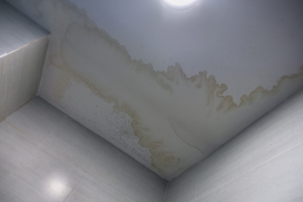 Water stain on the home ceiling needing roof leak repair.