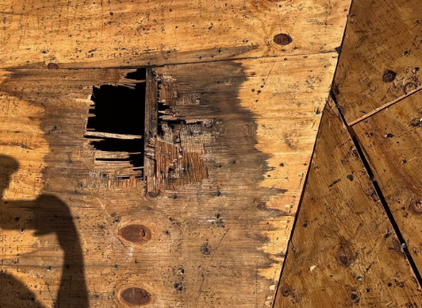 close up image of a roof with a hole in it in Anniston after a storm